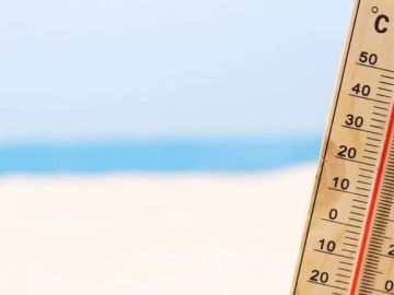 En raison des fortes chaleurs, nos ateliers seront exceptionnel ouverts aujourd’hui de 7h30 à 16h30.
L’accueil reste ouvert aux horaires habituels.
Merci de...