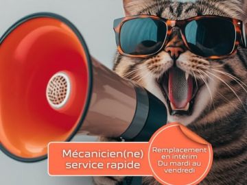 🔧 Le GARAGE LANNEVERE recrute !

Nous recherchons un(e) mécanicien(ne) service rapide en intérim à partir du 6 janvier

📍 Montfort-en-Chalosse (40)

Petite...