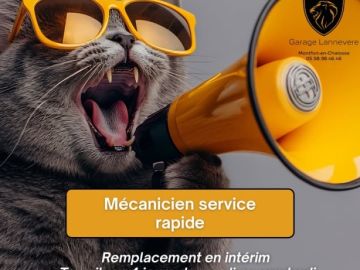 🚗 **Le GARAGE LANNEVERE recrute !**
Nous recherchons un(e) **mécanicien(ne) service rapide** en **intérim**, pour un remplacement **à partir du 6 janvier**....